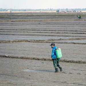 pesticidi e fitosanitari