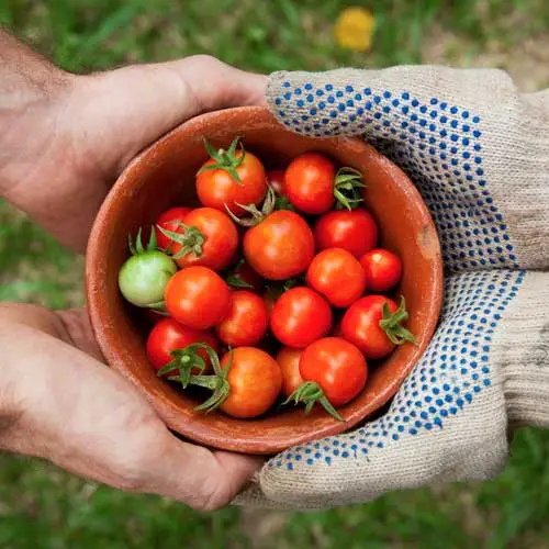 Prerequisiti per la sicurezza alimentare ISO 22002