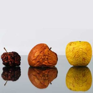 Shelf Life data di scadenza degli alimenti e termine minimo di conservazione