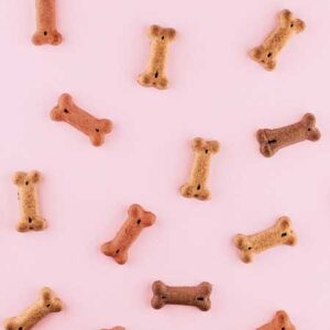 SOA: Sottoprodotti di Origine Animale