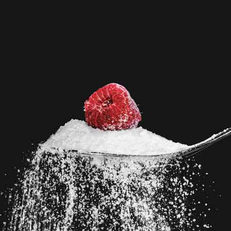 Zucchero guida agli zuccheri più utilizzati
